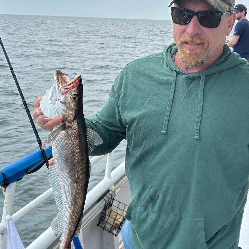 a man holding a fish on a boat