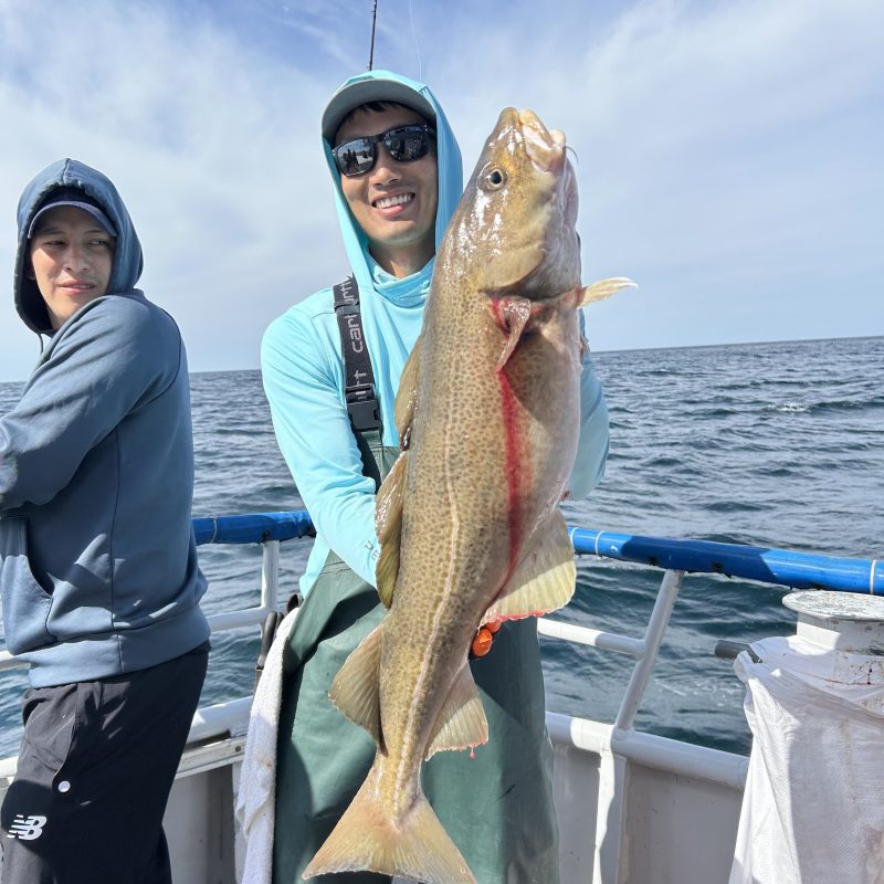 Person on boat holding a large fish, ocean and sky in background.