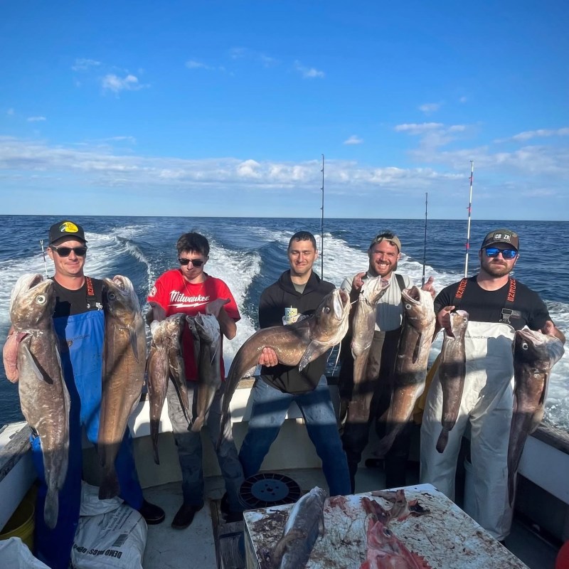 Five men on a boat holding large fish with a clear sky and sea in the background.