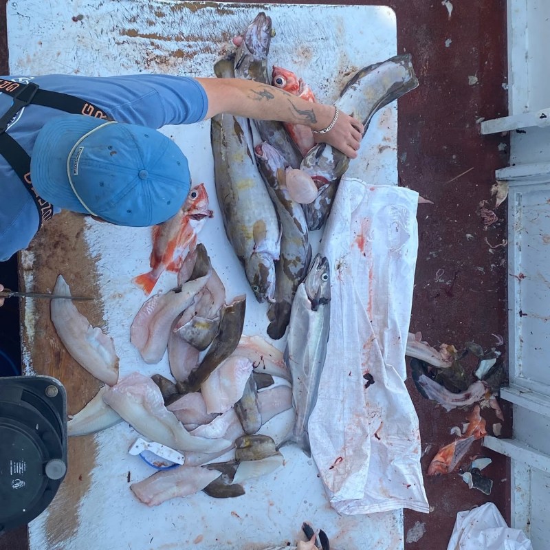 Person cleaning and filleting fish on a boat with a white cutting board.