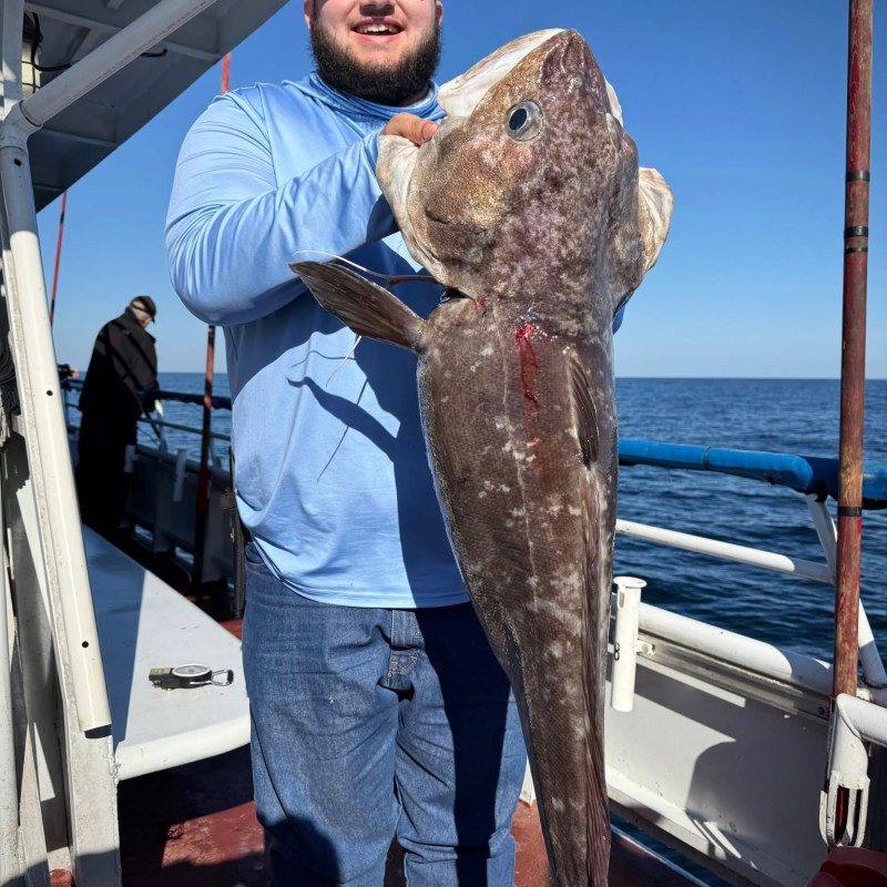 Person on a boat holding a large fish, smiling under a clear blue sky.