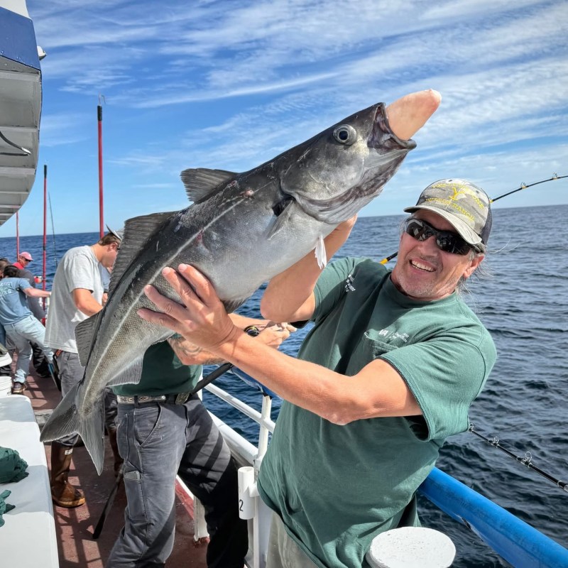 Person holding a large fish on a boat with a blue sky background.