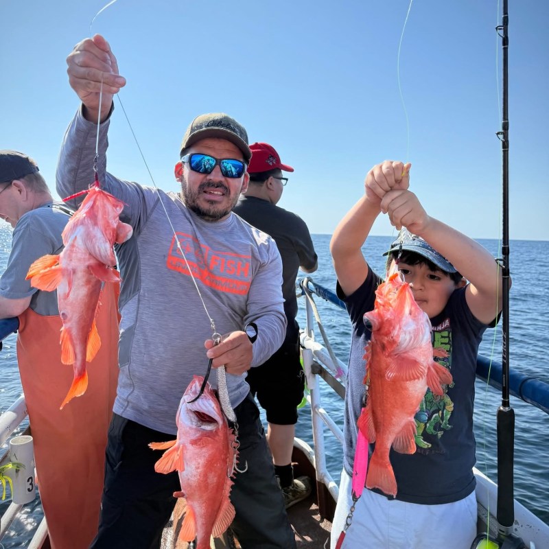Two people on a boat holding large orange fish against a clear blue sky.