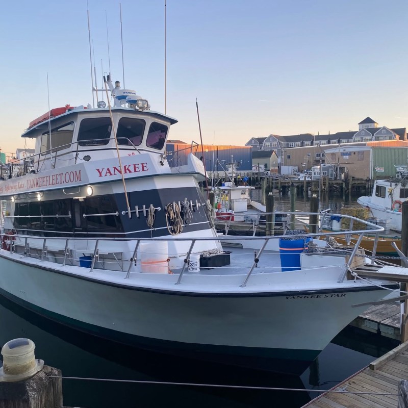 Fishing boat docked at harbor with buildings in background at sunset.