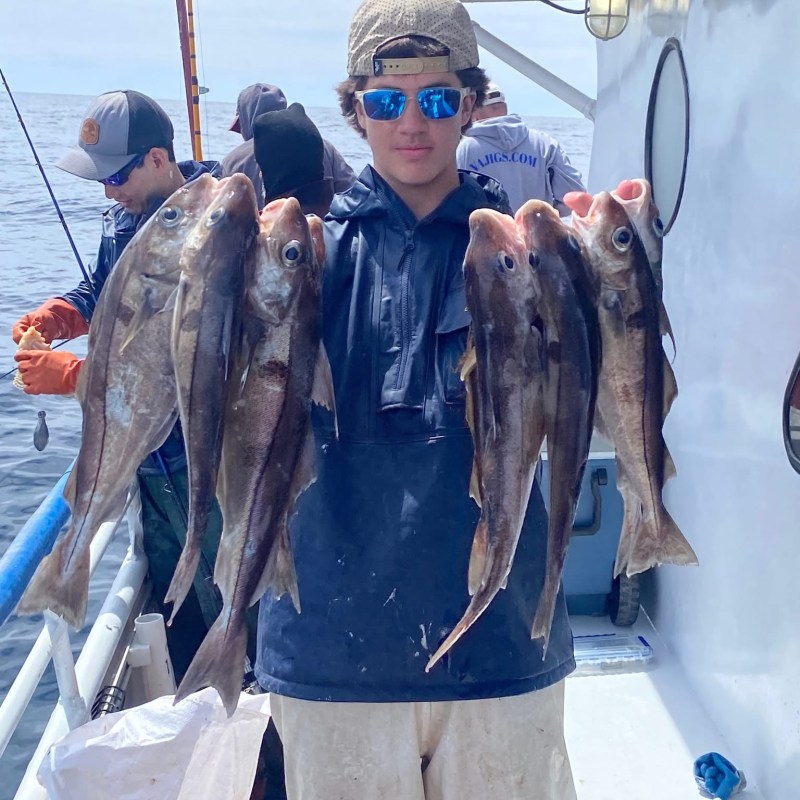 Person holding six fish on a boat with ocean in background.