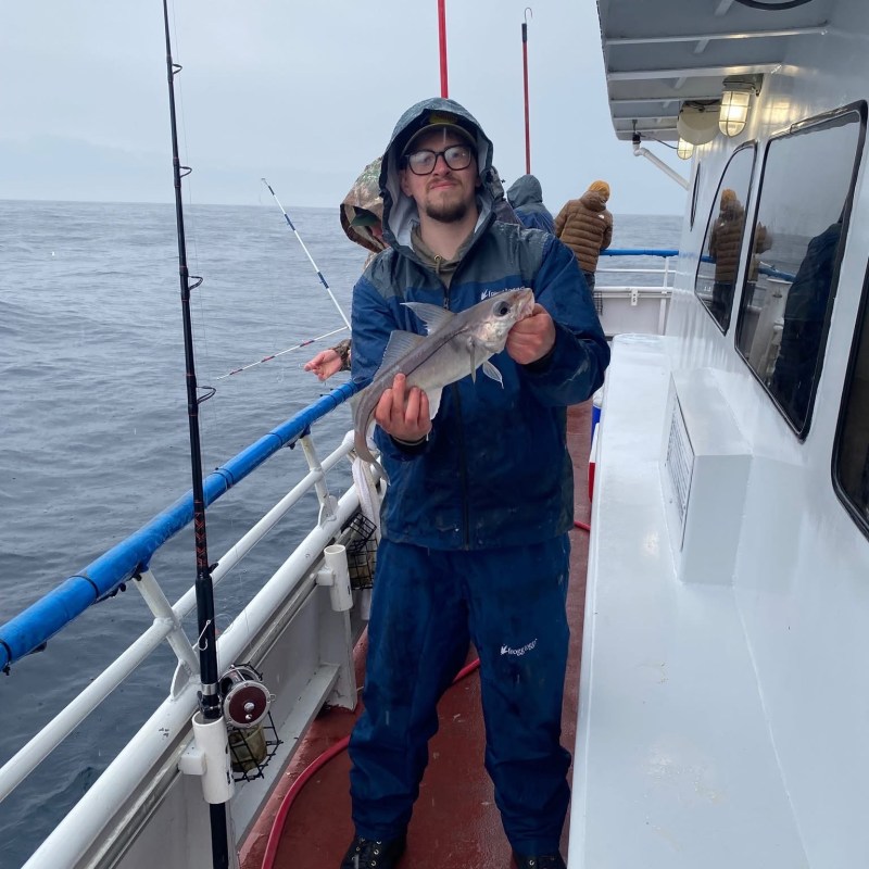 Person holding a fish on a boat deck with fishing rods.