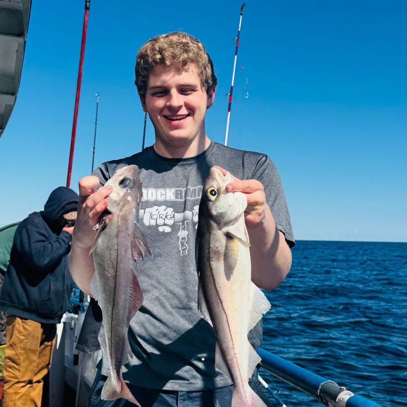Person holding two fish on a boat with blue ocean background.