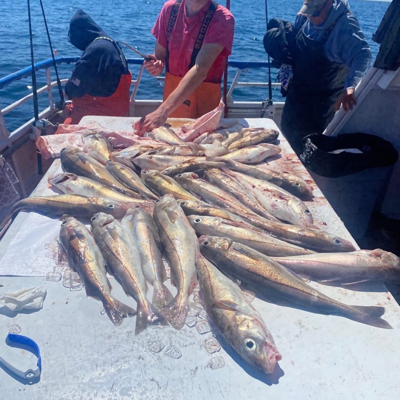 Person on boat with table full of fish, ocean in background.