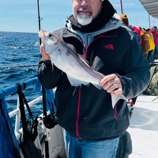 Person holding a fish on a boat with ocean in the background.