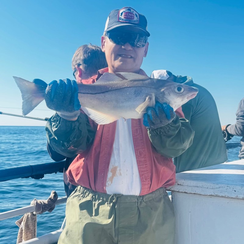 Person holding a fish on a boat under a clear blue sky.