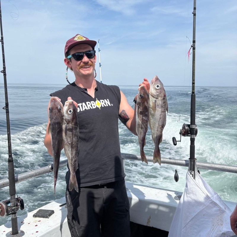 Person on a boat holding four large fish with ocean in the background.