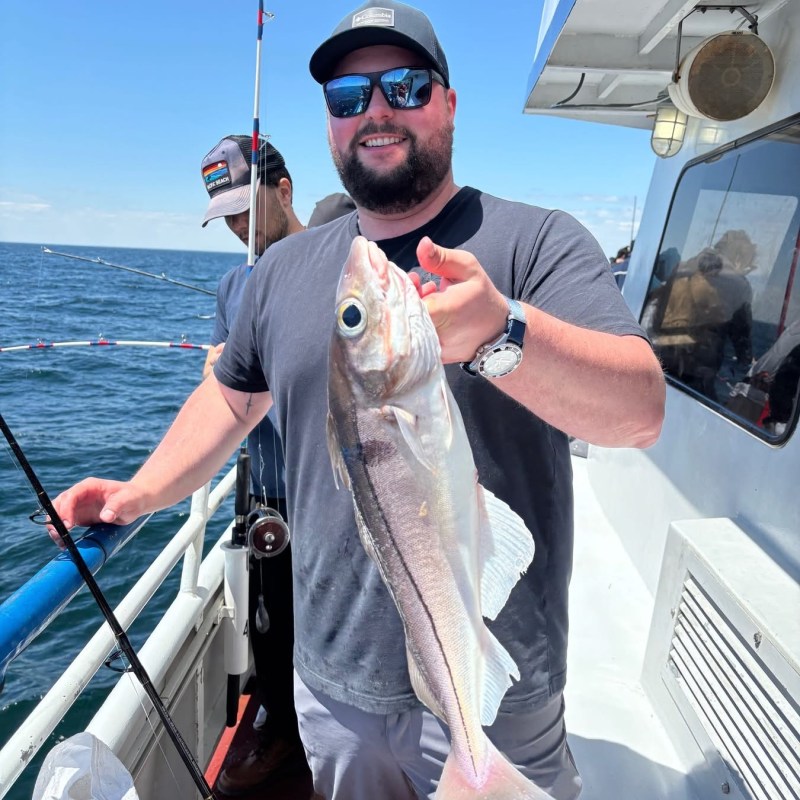 Man on a boat holding a large fish, wearing sunglasses and a cap.
