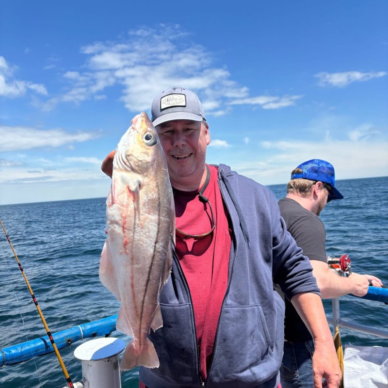 Man on boat holding large fish, ocean background, clear sky.