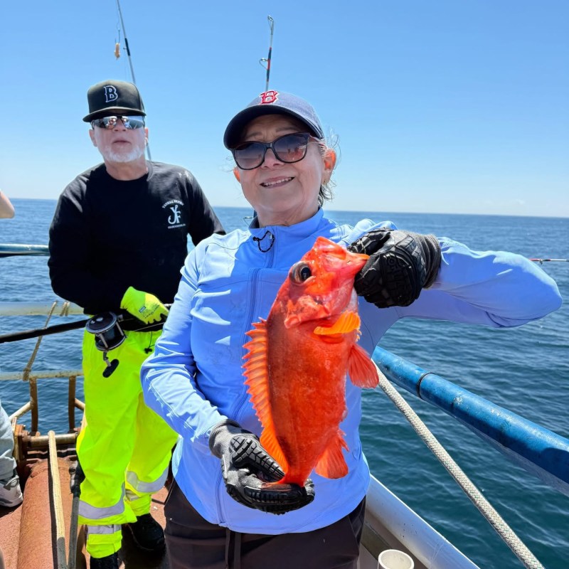 Person holding a bright orange fish on a boat, with another person in the background.