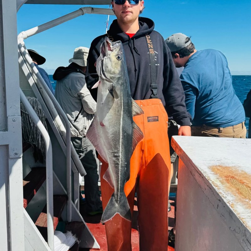 Person holding large fish on boat deck, wearing orange overalls and sunglasses.