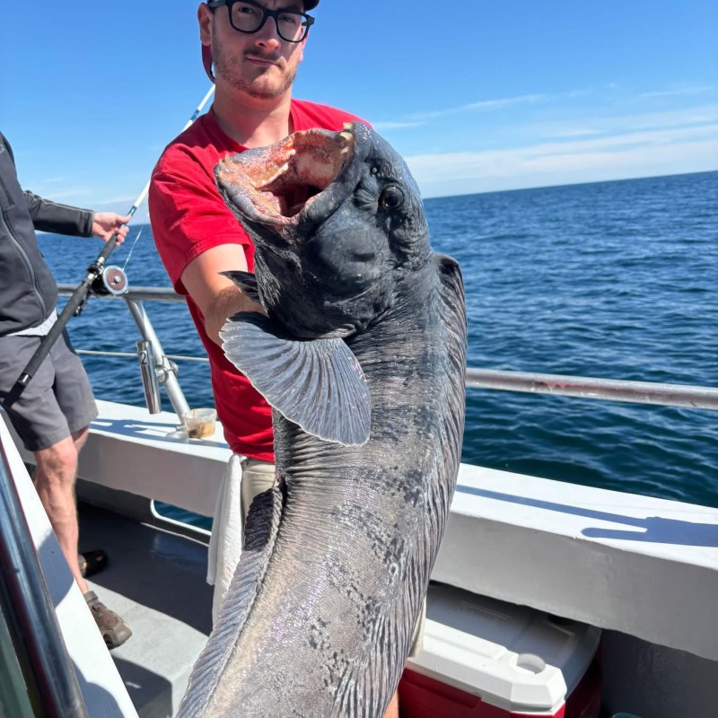 Person holding a large fish on a boat with ocean in background.