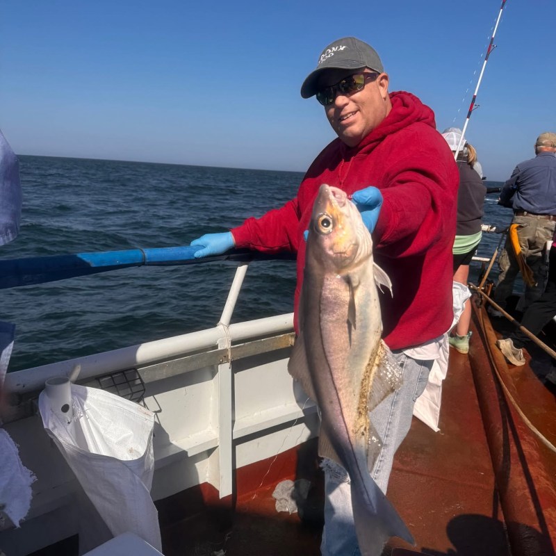 Person in red hoodie holding a large fish on a boat.