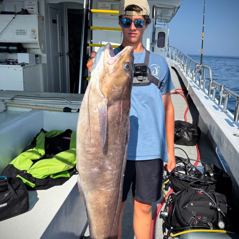 Person on a boat holding a large fish with fishing gear visible.