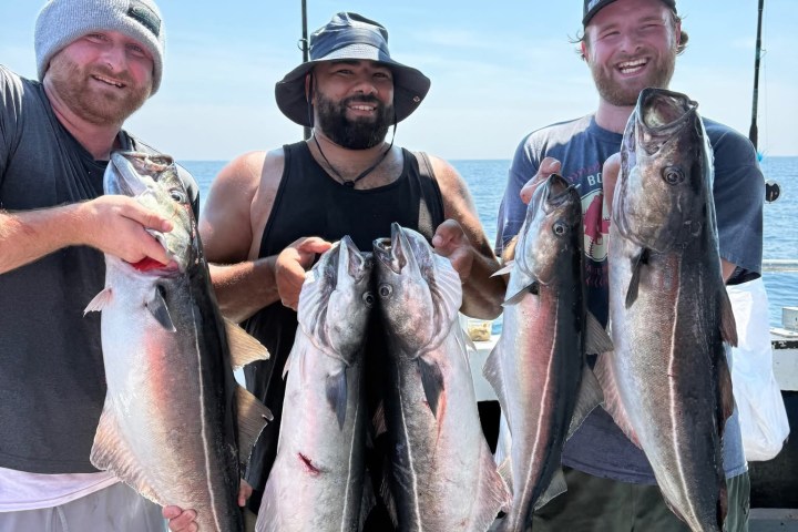Three men holding large fish on a fishing boat, smiling.