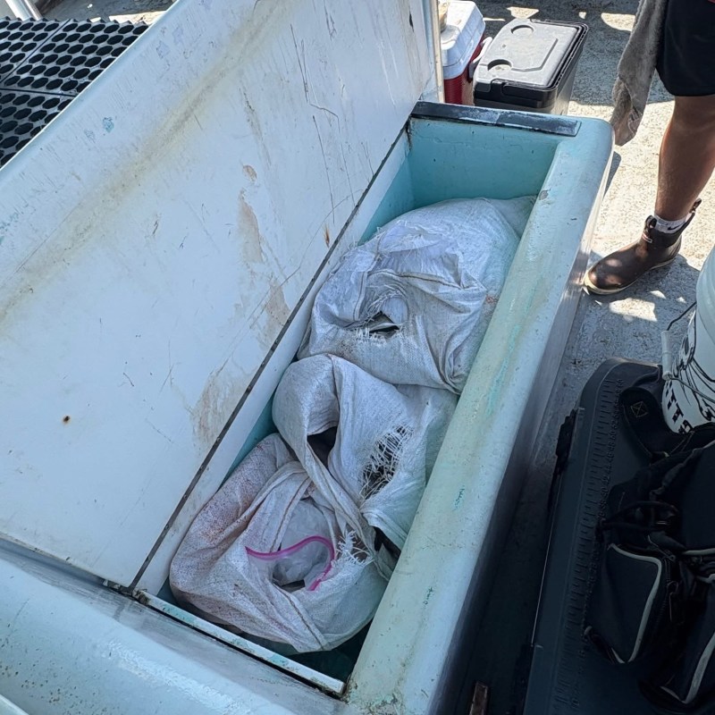 Open cooler with bags inside on a boat deck