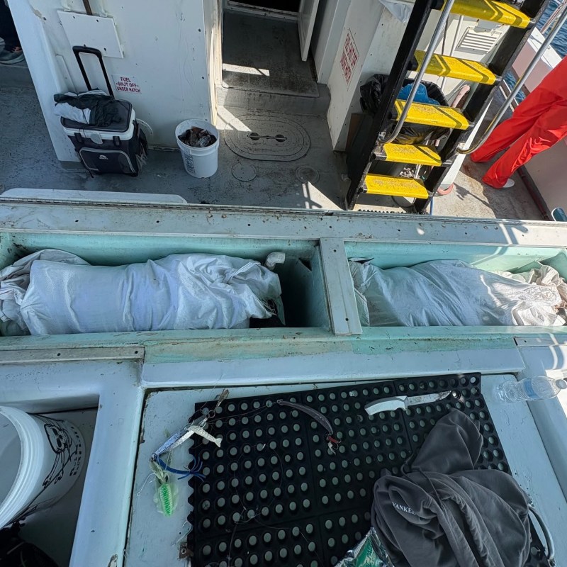 Two fish in white bags on boat deck, surrounded by fishing gear.