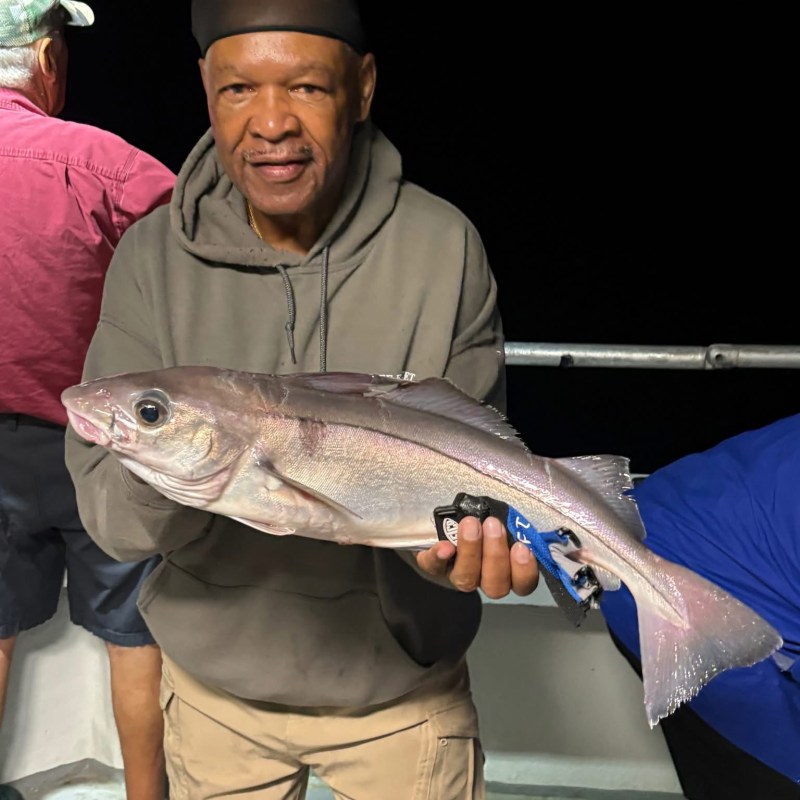 Person holding a large fish on a boat at night.