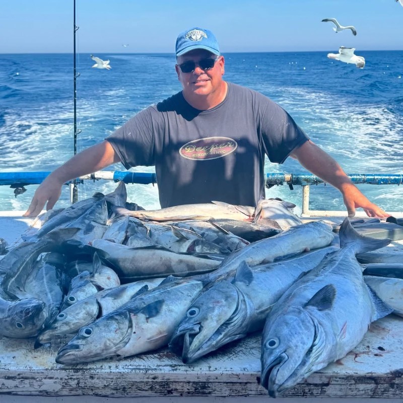 Person on boat with large catch of fish and seagulls overhead.