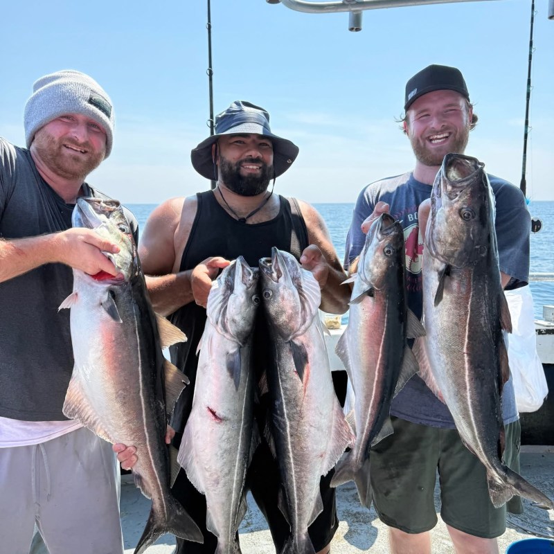 Three smiling men holding large fish on a boat.