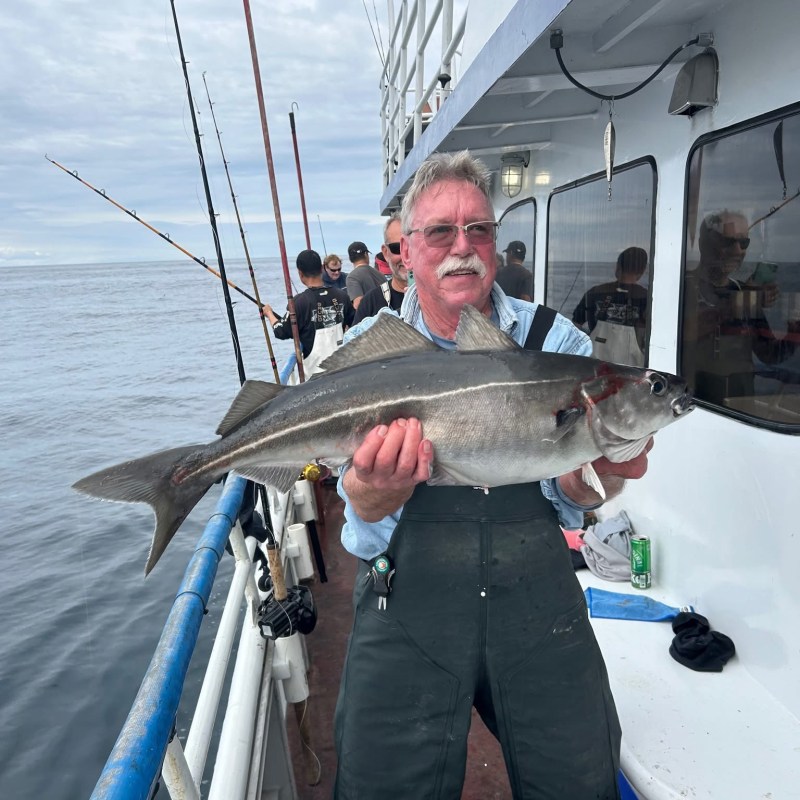 Man on a boat holding a large fish, with fishing rods in the background.