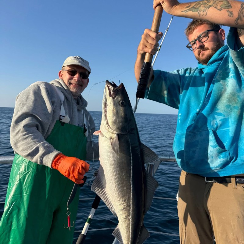 Two men on a boat holding a large fish with a fishing rod.