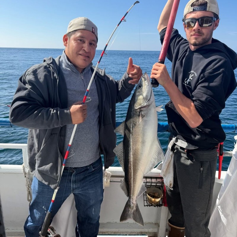 Two men on a boat with a large caught fish, one holding a fishing rod.