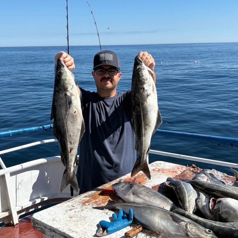Person on boat holding two fish with ocean in background.