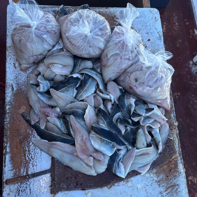 Fish fillets and bags of fish pieces on a boat table.